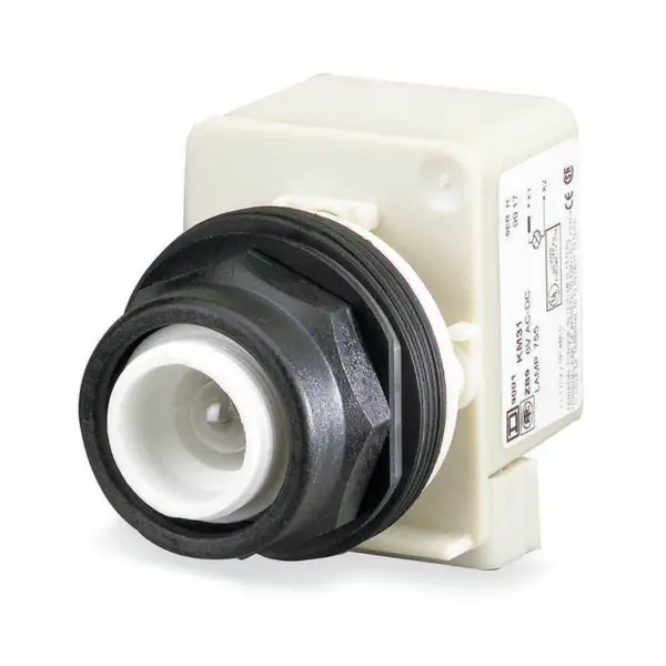 SCHNEIDER ELEKTRISCH 9001SK2L38